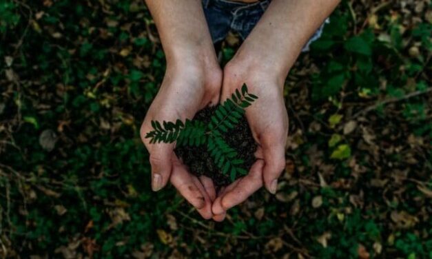 What Is Green Marketing And Should Businesses Take Note?
