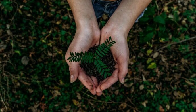 What Is Green Marketing And Should Businesses Take Note?